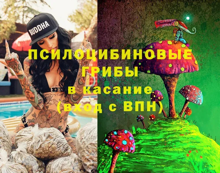 Галлюциногенные грибы Cubensis  Белокуриха 